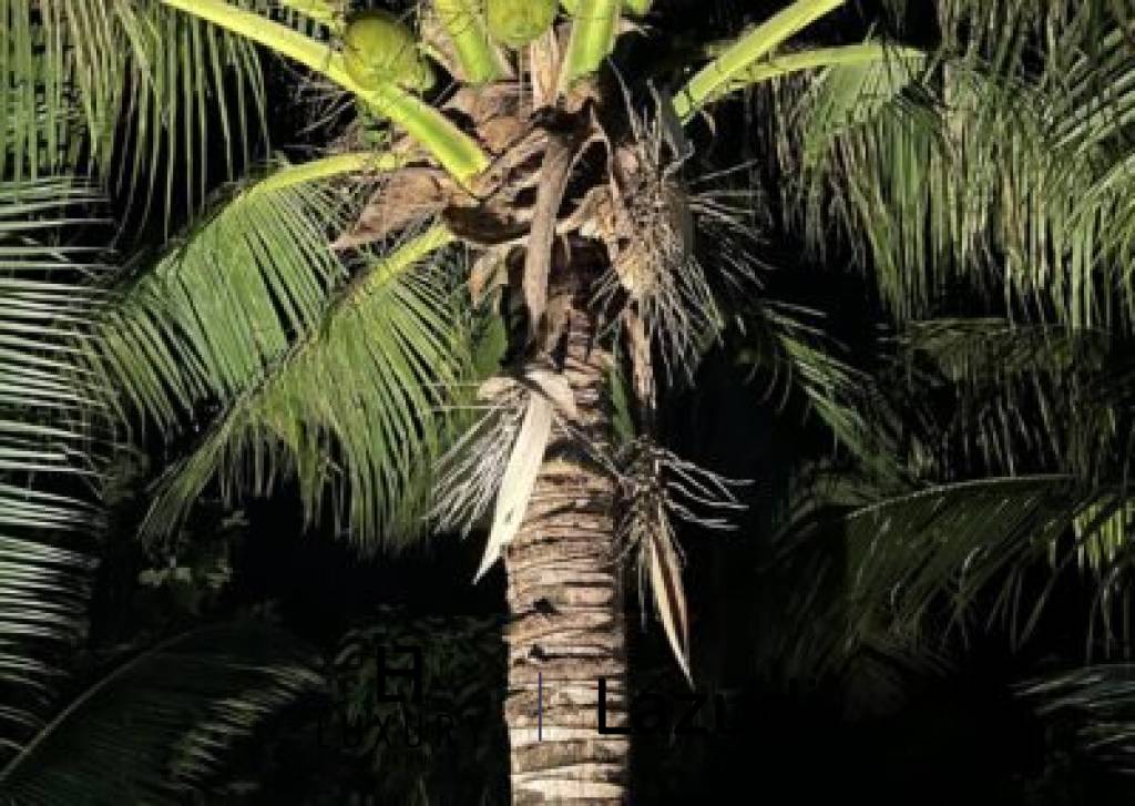 1,124 平方米 5 床 房子 对于 销售