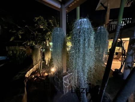 1,124 平方米 5 床 房子 对于 销售