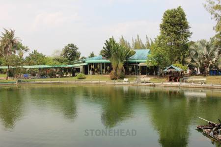 Fishing Lakes & Resort for Sale in Hua Hin - Established Business
