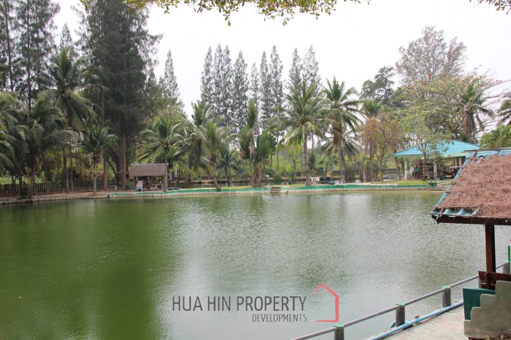 Fishing Lakes & Resort for Sale in Hua Hin - Established Business