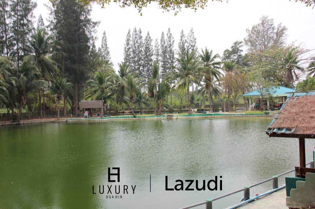 Fishing Lakes & Resort for Sale in Hua Hin - Established Business