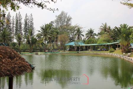 Fishing Lakes & Resort for Sale in Hua Hin - Established Business