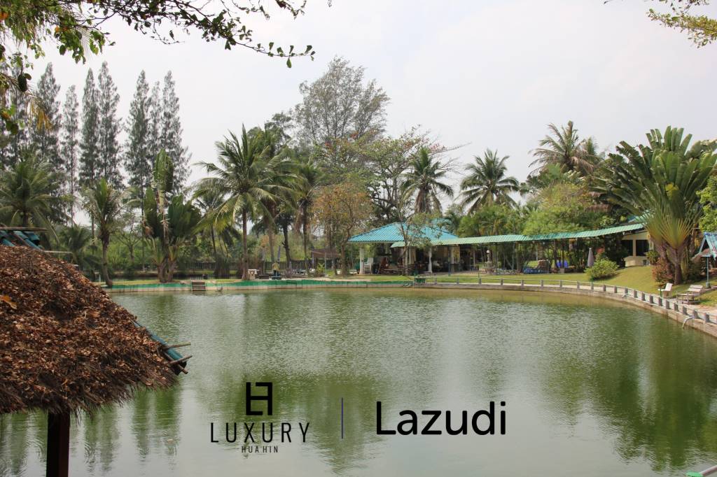 Fishing Lakes & Resort for Sale in Hua Hin - Established Business