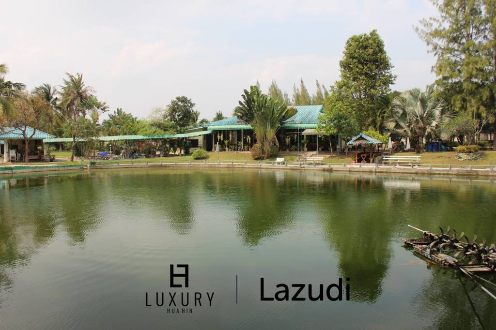 Fishing Lakes & Resort for Sale in Hua Hin - Established Business