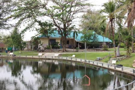 Fishing Lakes & Resort for Sale in Hua Hin - Established Business