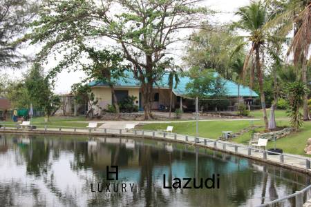 Fishing Lakes & Resort for Sale in Hua Hin - Established Business