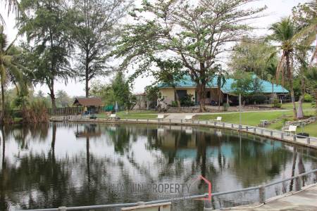 Fishing Lakes & Resort for Sale in Hua Hin - Established Business