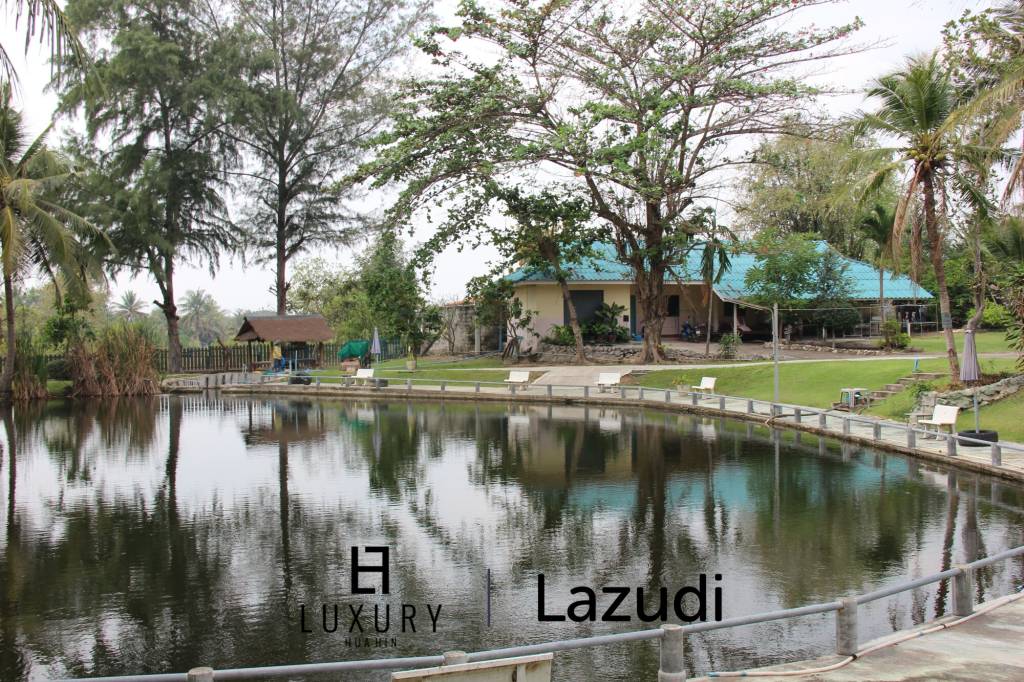 Fishing Lakes & Resort for Sale in Hua Hin - Established Business