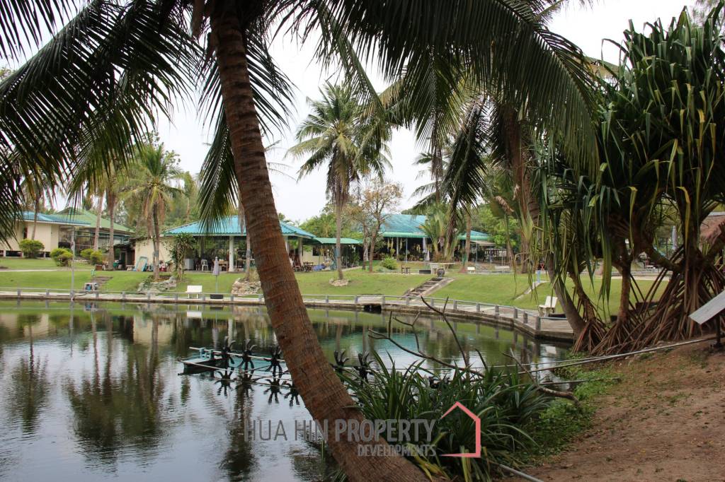 Fishing Lakes & Resort for Sale in Hua Hin - Established Business