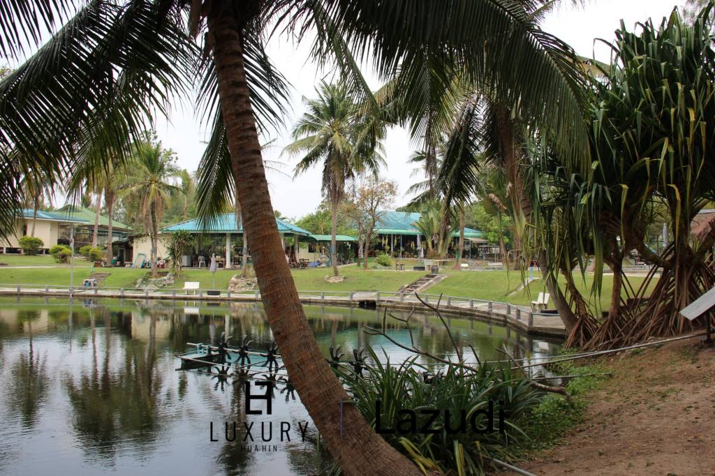 Fishing Lakes & Resort for Sale in Hua Hin - Established Business