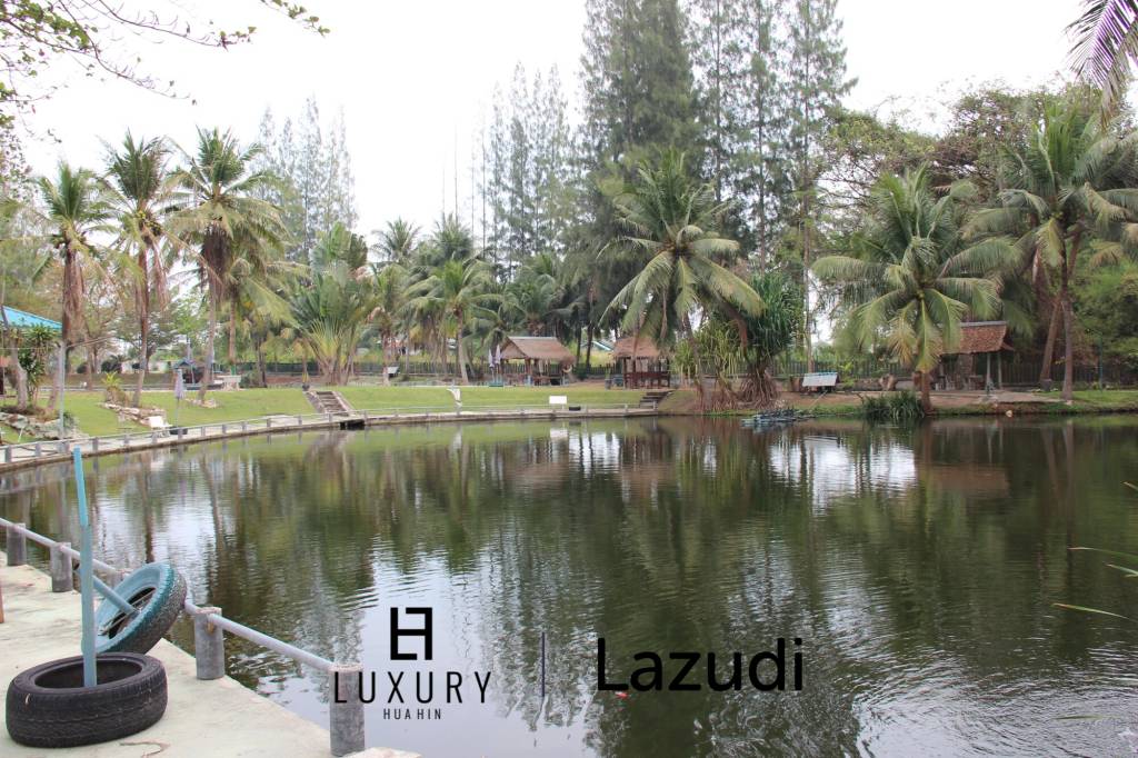 Fishing Lakes & Resort for Sale in Hua Hin - Established Business