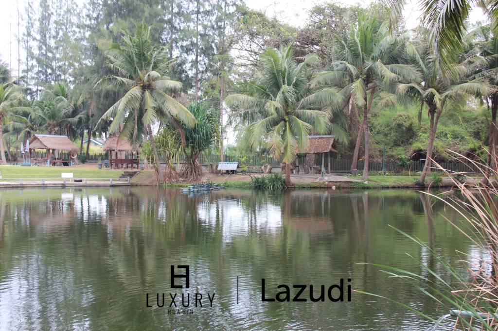 Fishing Lakes & Resort for Sale in Hua Hin - Established Business