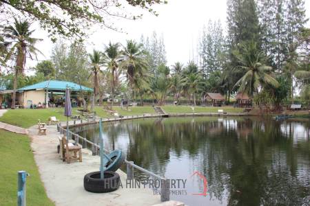 Fishing Lakes & Resort for Sale in Hua Hin - Established Business