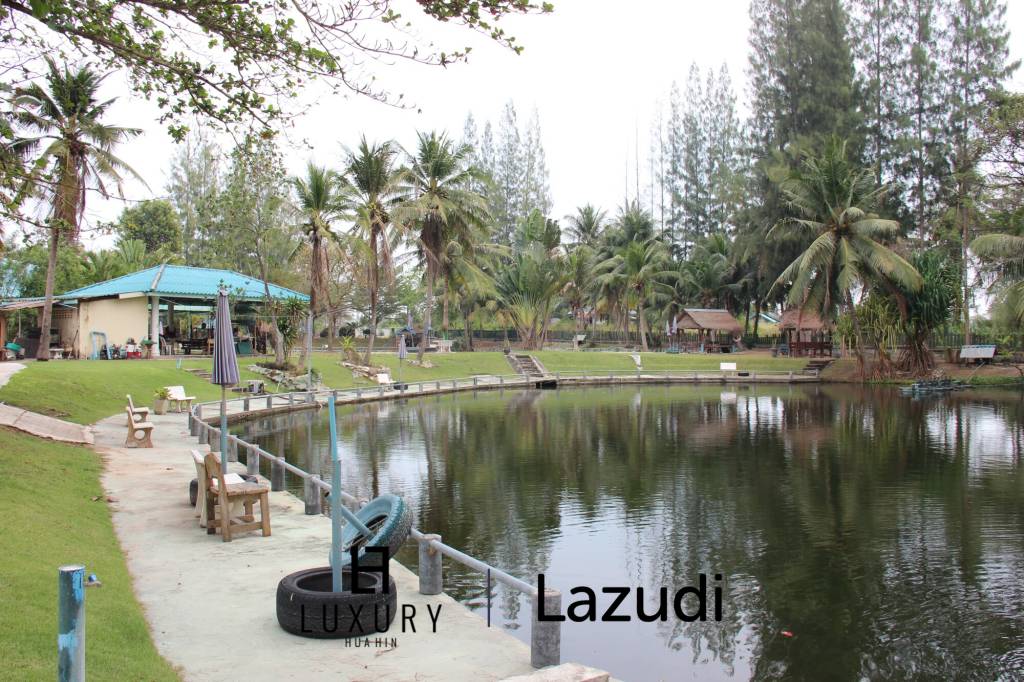 Fishing Lakes & Resort for Sale in Hua Hin - Established Business