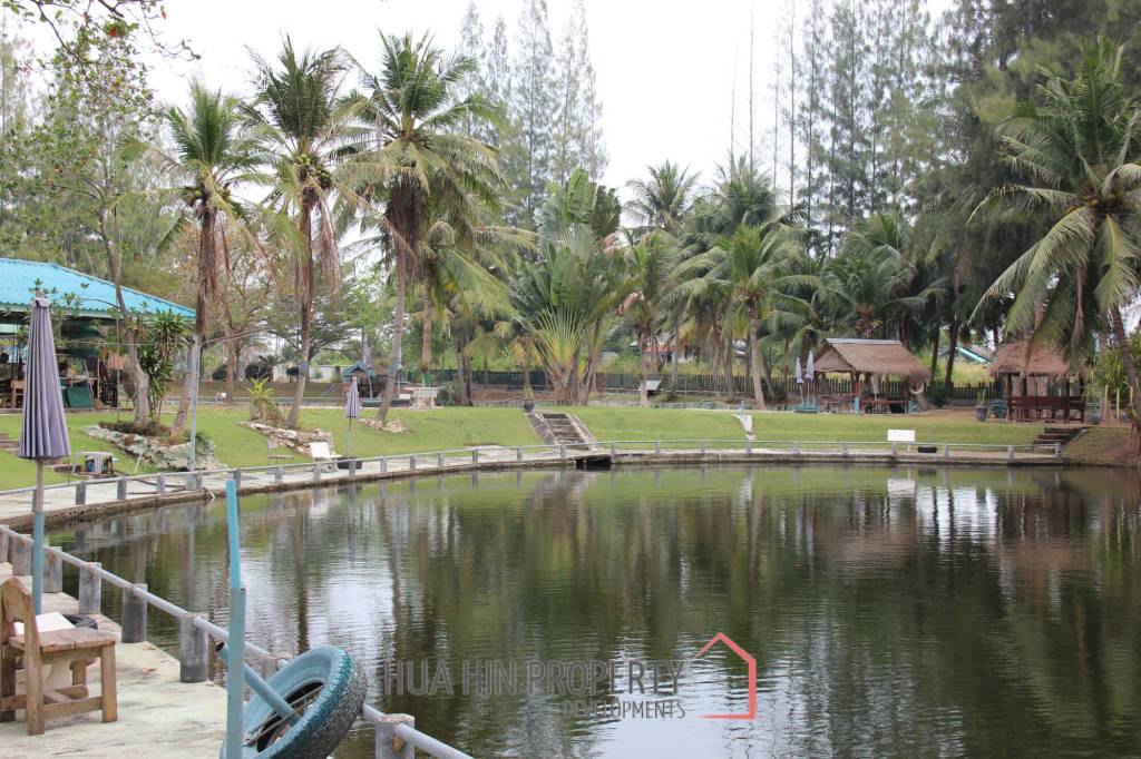 Fishing Lakes & Resort for Sale in Hua Hin - Established Business