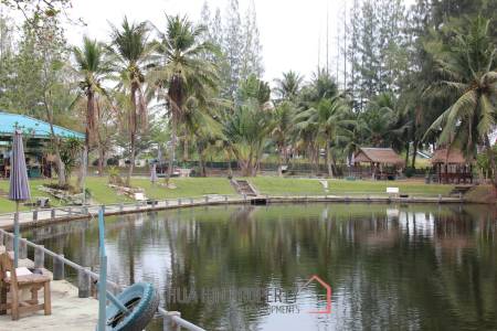 Fishing Lakes & Resort for Sale in Hua Hin - Established Business