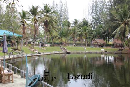 Fishing Lakes & Resort for Sale in Hua Hin - Established Business