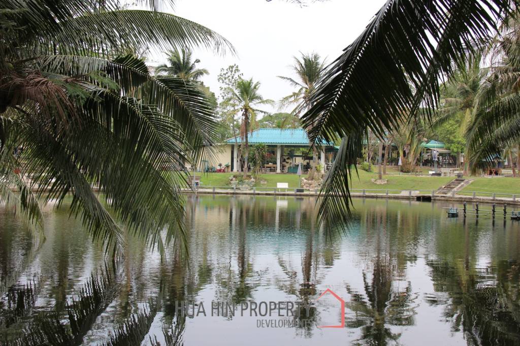 Fishing Lakes & Resort for Sale in Hua Hin - Established Business