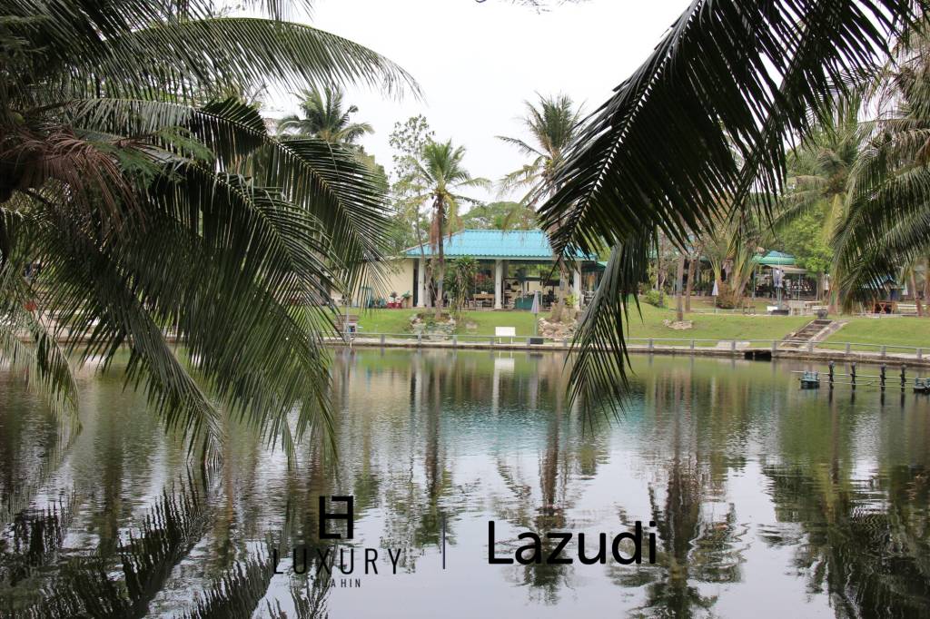 Fishing Lakes & Resort for Sale in Hua Hin - Established Business