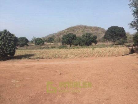 Beautiful Countryside Land with Sea View to build 1, 2 or up to 8 houses