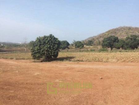 Beautiful Countryside Land with Sea View to build 1, 2 or up to 8 houses