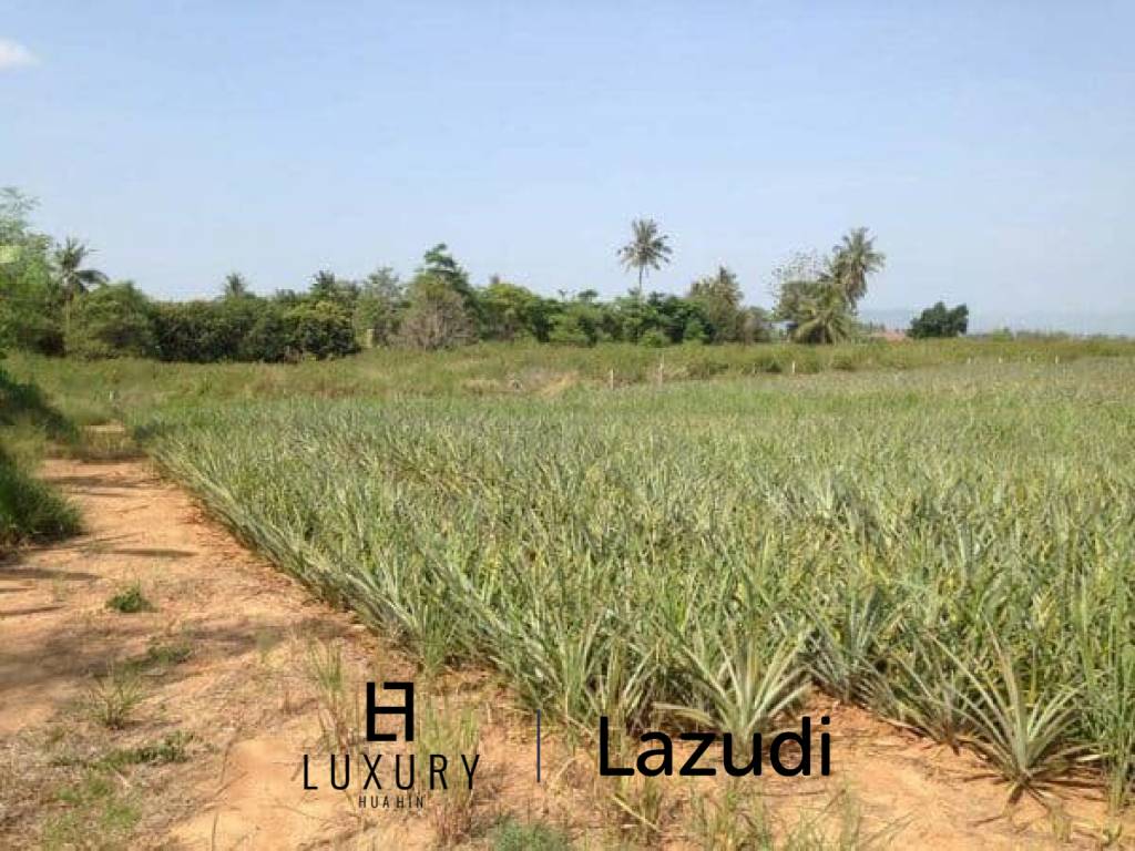 3.5 Rai Of Lovely Land, Nr Main Road With Great Views.