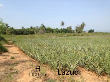 3.5 Rai Of Lovely Land, Nr Main Road With Great Views.