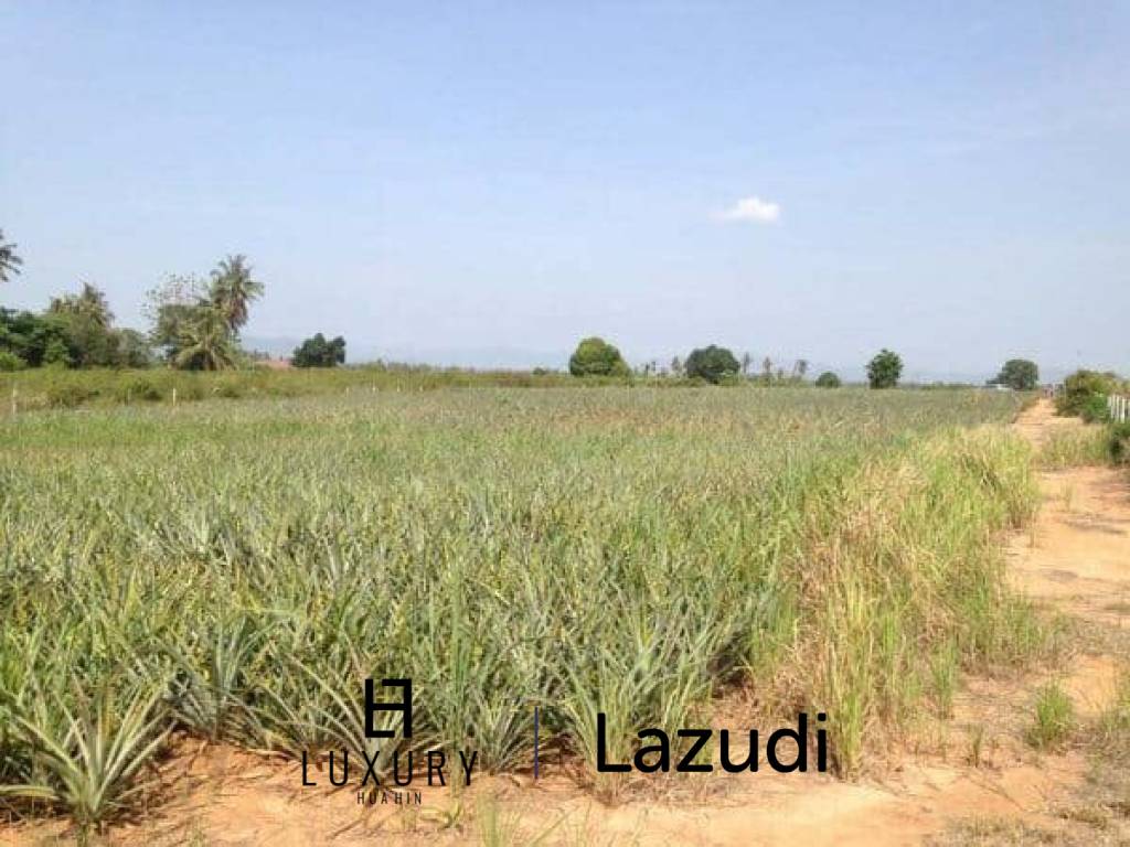 3.5 Rai Of Lovely Land, Nr Main Road With Great Views.