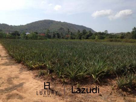 3.5 Rai Of Lovely Land, Nr Main Road With Great Views.