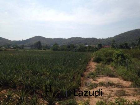 3.5 Rai Of Lovely Land, Nr Main Road With Great Views.