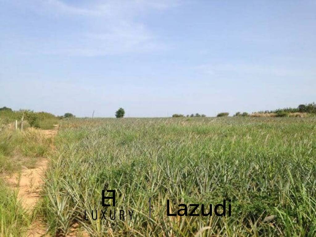 3.5 Rai Of Lovely Land, Nr Main Road With Great Views.