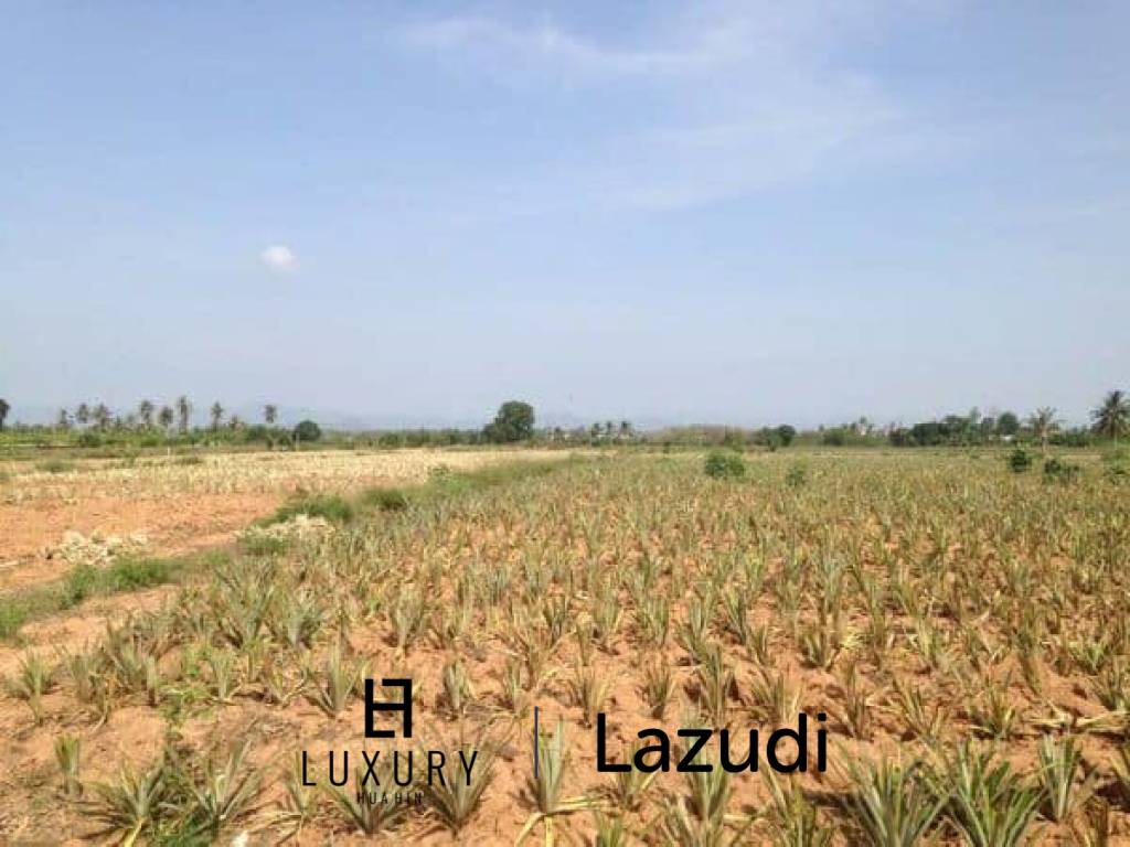 3.5 Rai Of Lovely Land, Nr Main Road With Great Views.