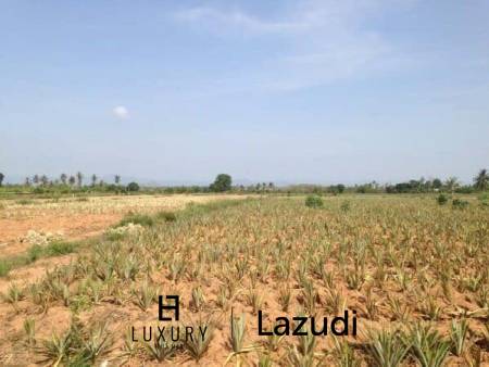 3.5 Rai Of Lovely Land, Nr Main Road With Great Views.