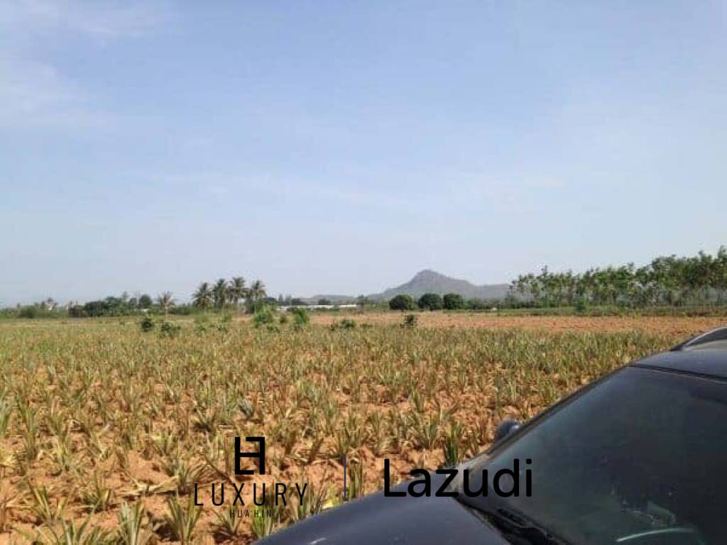 3.5 Rai Of Lovely Land, Nr Main Road With Great Views.