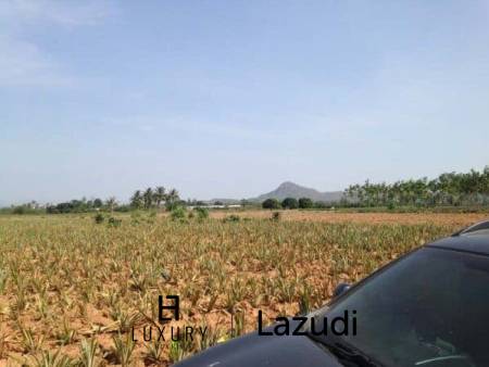 3.5 Rai Of Lovely Land, Nr Main Road With Great Views.