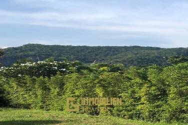 Nice Land Plot for Sale at Baan Ing Phu (830Sqm) Nice Land Plot for Sale at Baan Ing Phu (830Sqm)