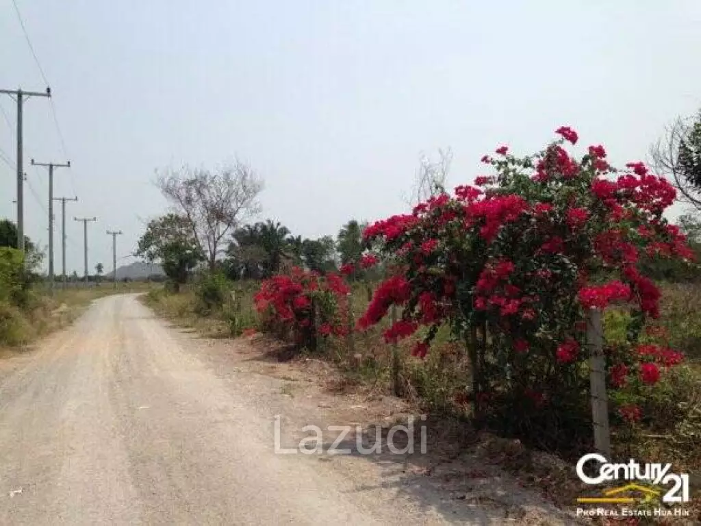 Great Price at only 1.1M Baht per Rai