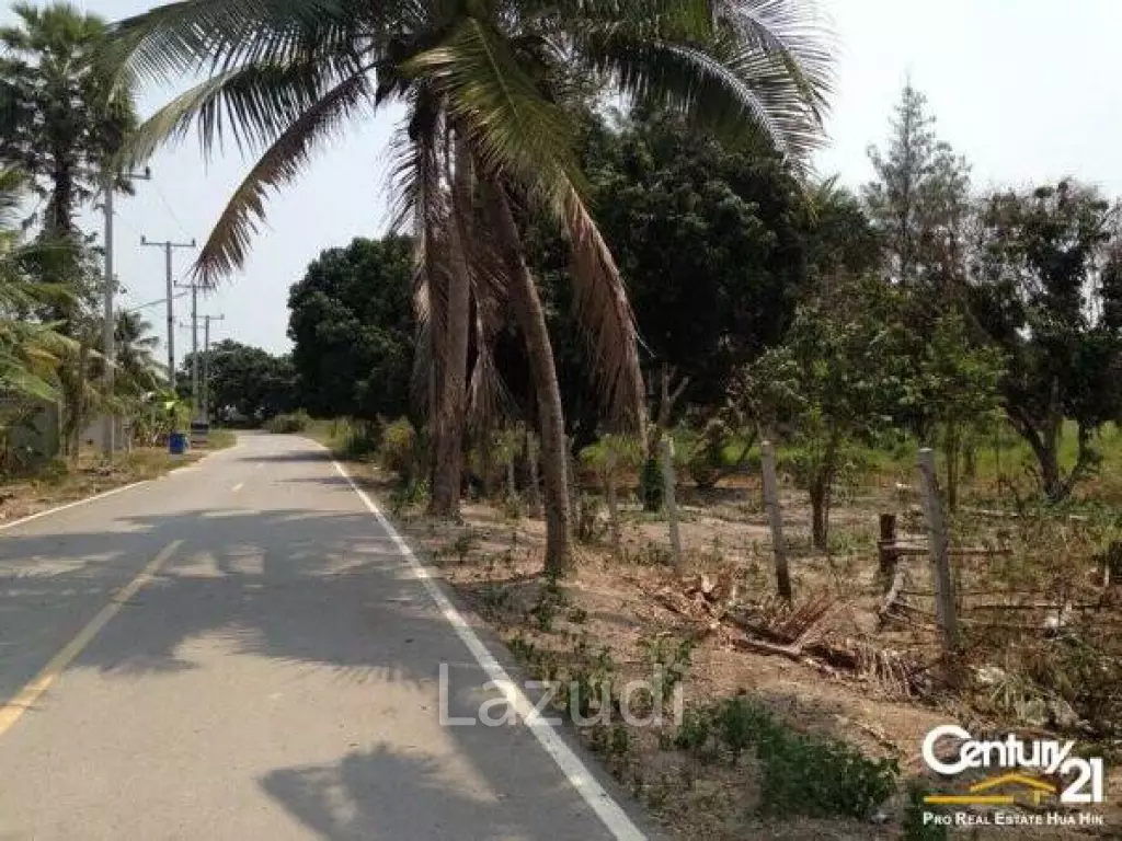 Great Price at only 1.1M Baht per Rai