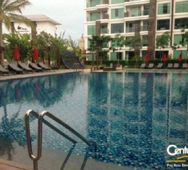 1 Bed Condo: Great Price !! 1 Bed Condo: Great Price !!