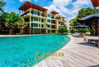 1 Bedroom Beachside Condo in Great Location