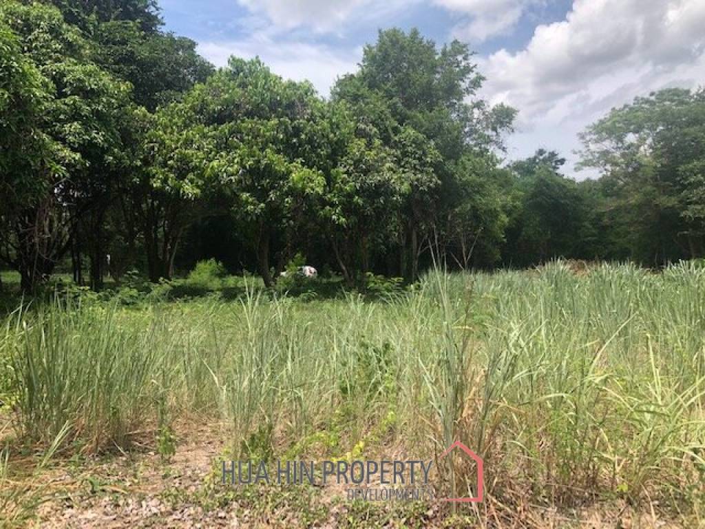Beautiful Lakefront 1 Rai Plot of Land On Fishing Lake, Ideal For 1 or 2 Homes