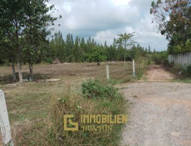 Land in great location in Soi 88