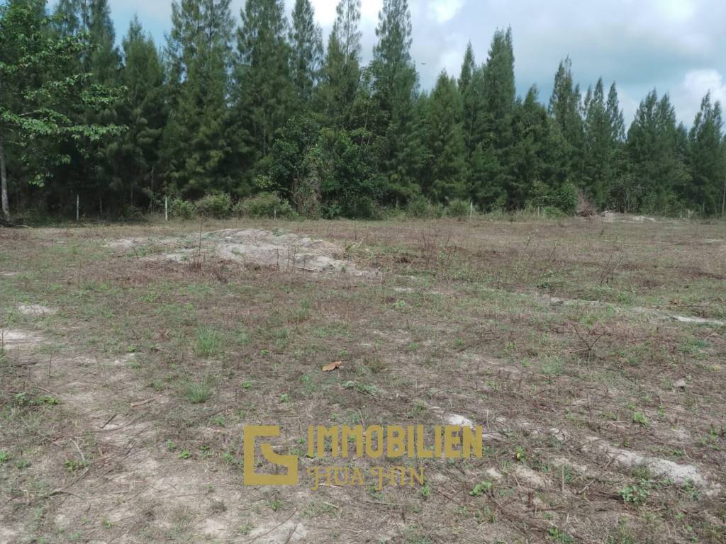 Land in great location in Soi 88