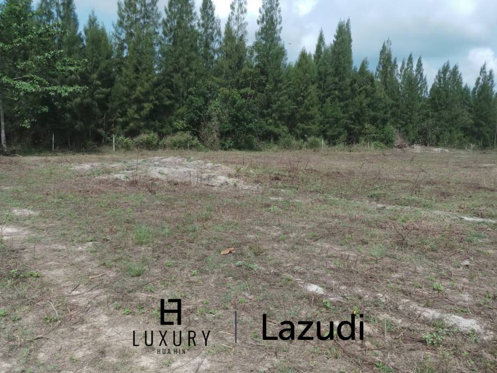 Land in great location in Soi 88