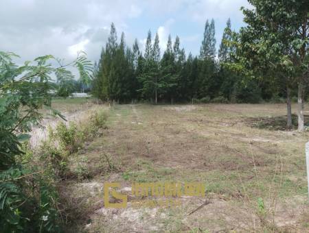 Land in great location in Soi 88