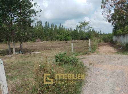 Land in great location in Soi 88