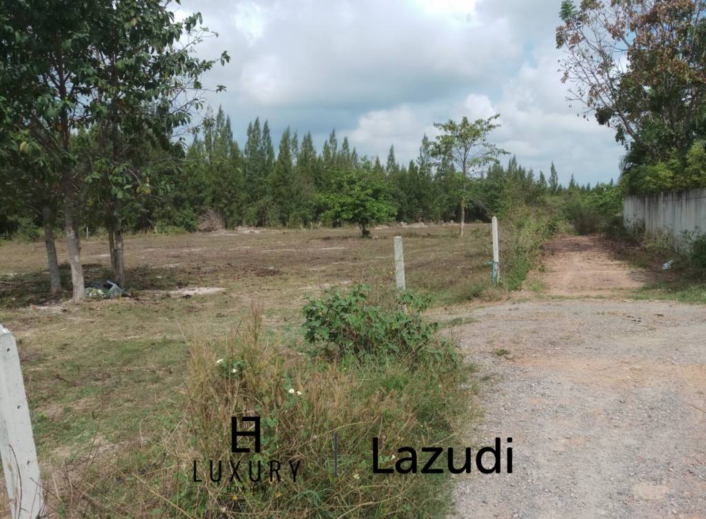 Land in great location in Soi 88