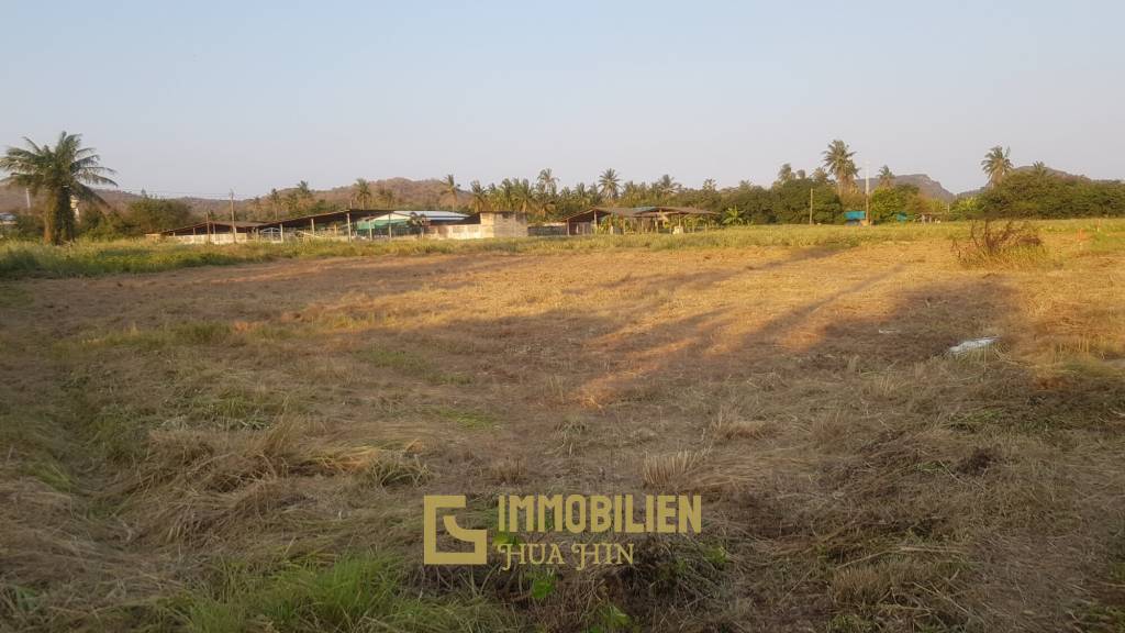 Lovely Plot of 1 Rai of Land For Sale