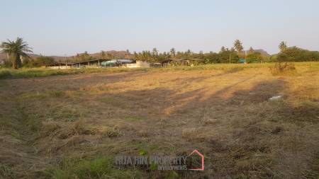 Lovely Plot of 1 Rai of Land For Sale