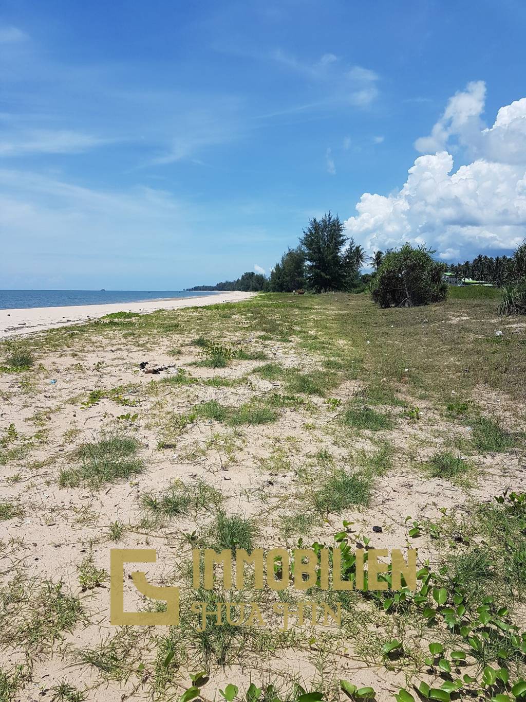 Prachuap Bang Saphan Noi: strandnahes Grundstück